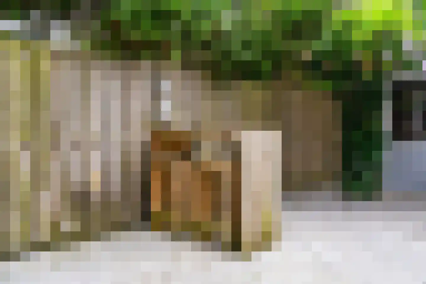 Crosestein 2048 Zeist thumbnail 24