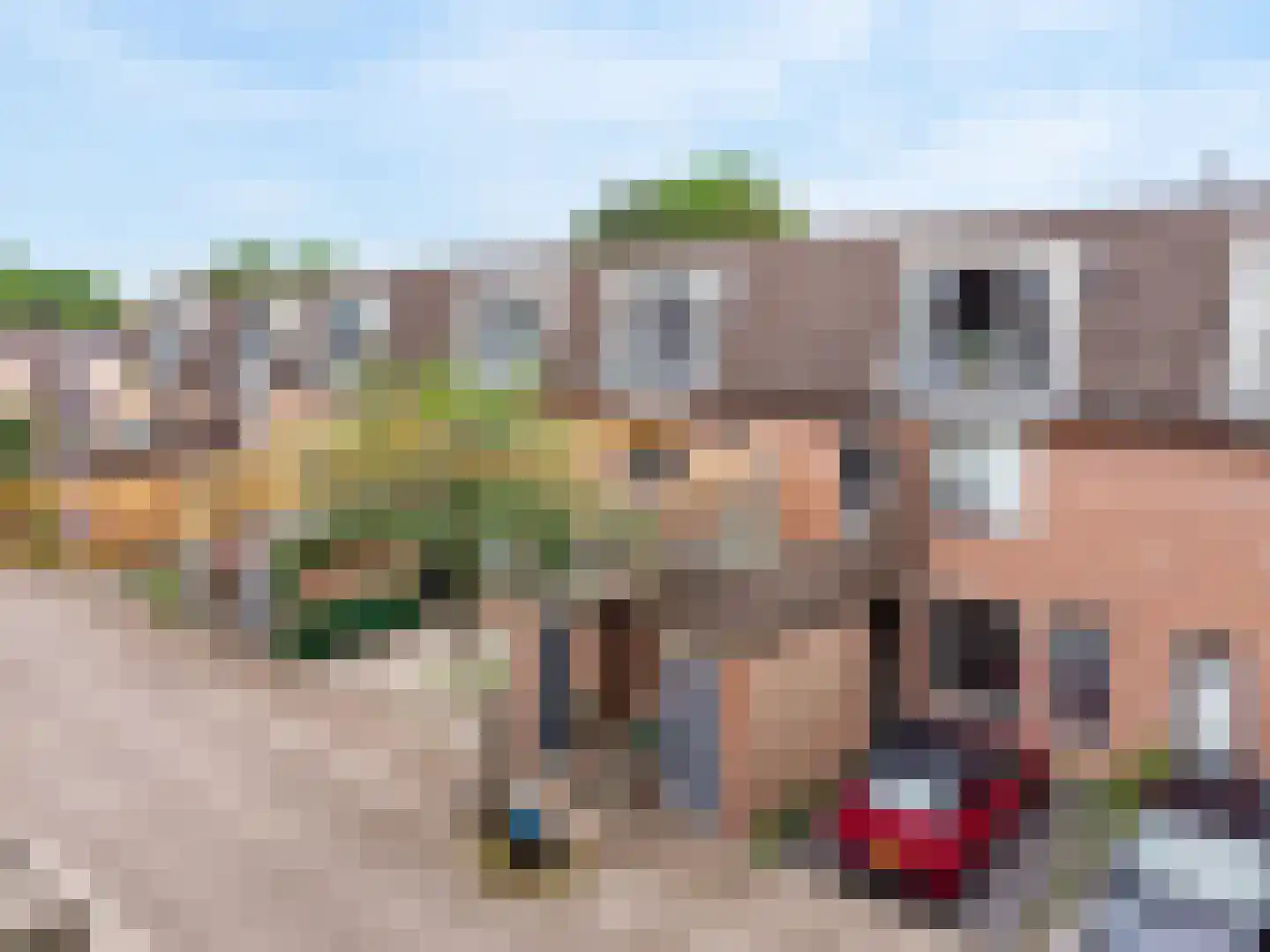 Crosestein 2048 Zeist thumbnail 29