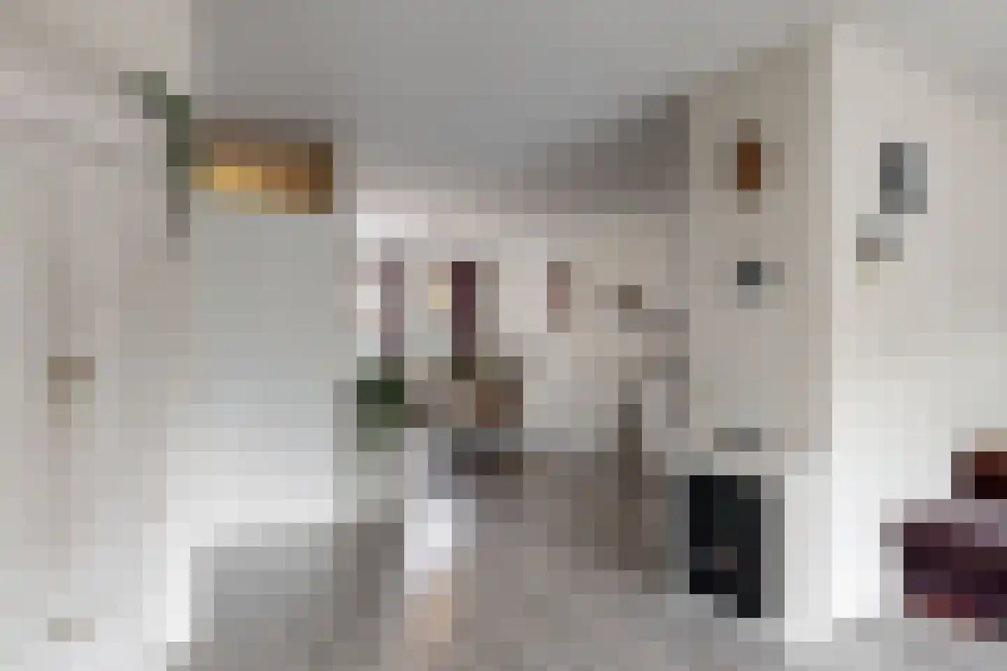 Crosestein 2048 Zeist thumbnail 6