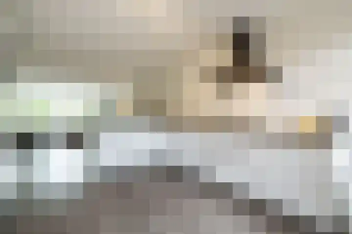 Crosestein 2057 Zeist thumbnail 11