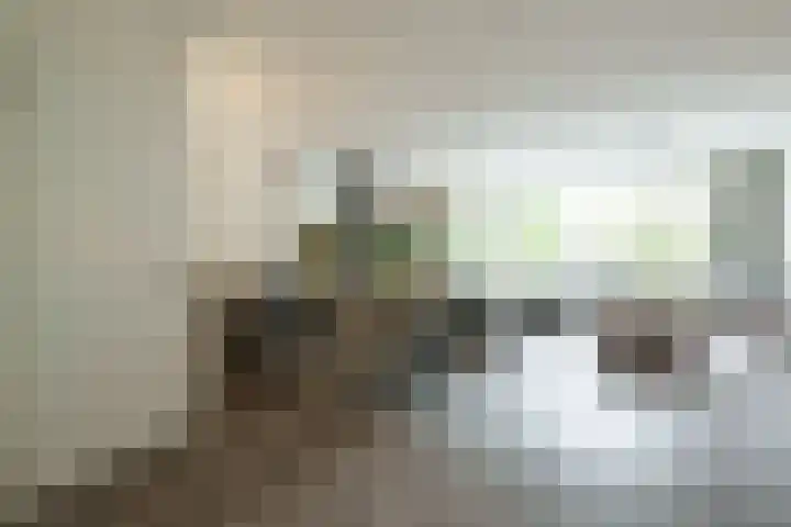 Crosestein 2057 Zeist thumbnail 12