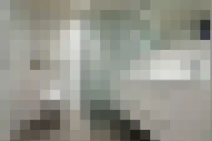 Crosestein 2057 Zeist thumbnail 16