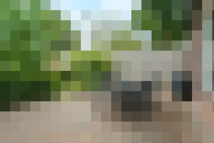 Crosestein 2057 Zeist thumbnail 17