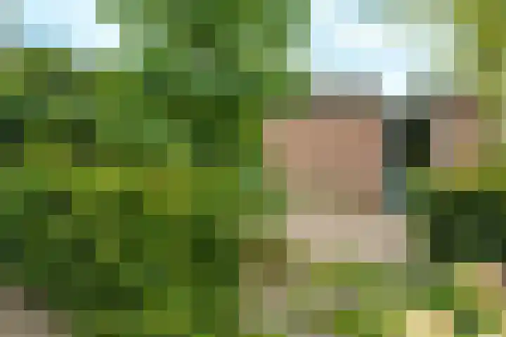 Crosestein 2057 Zeist thumbnail 19