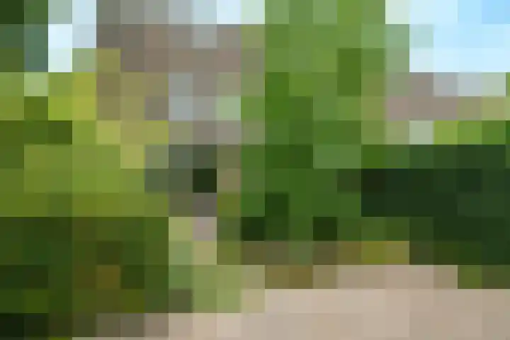 Crosestein 2057 Zeist thumbnail 21