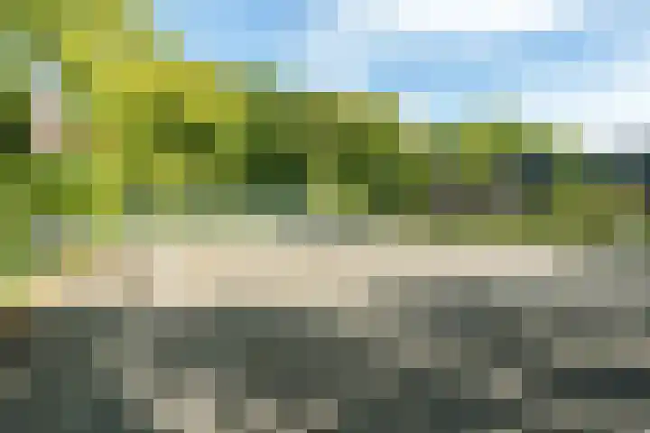 Crosestein 2057 Zeist thumbnail 23
