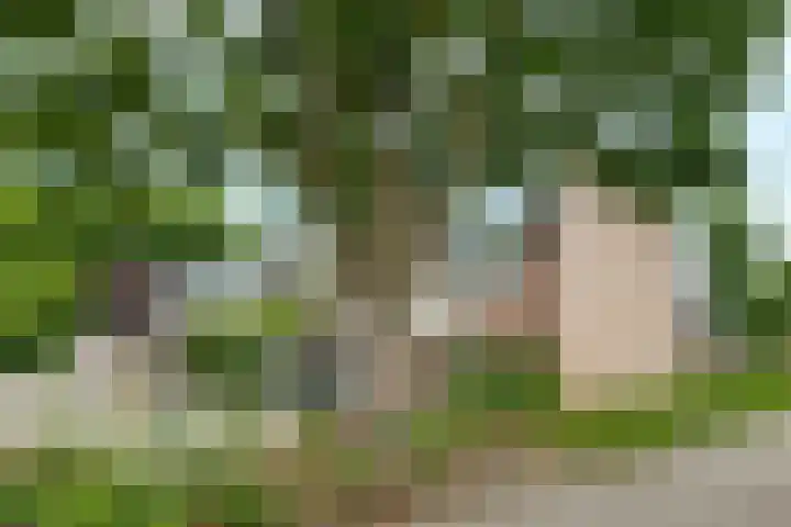 Crosestein 2057 Zeist thumbnail 24