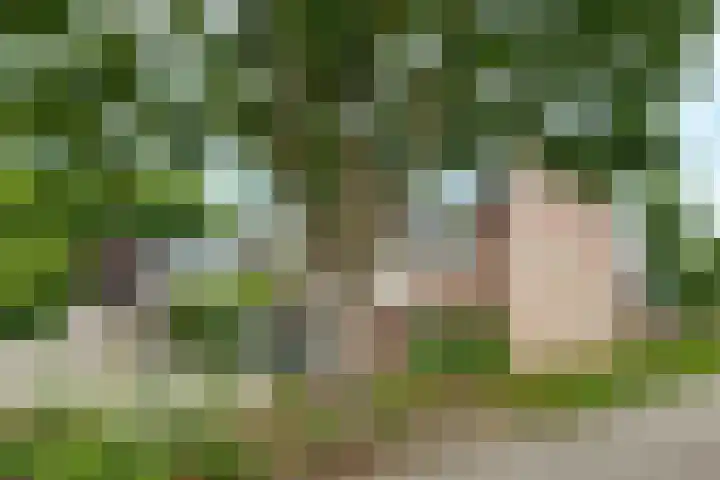 Crosestein 2057 Zeist thumbnail 25