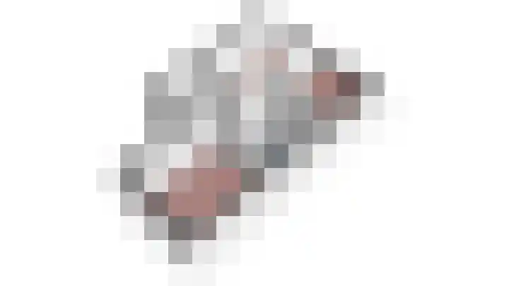 Crosestein 2057 Zeist thumbnail 32