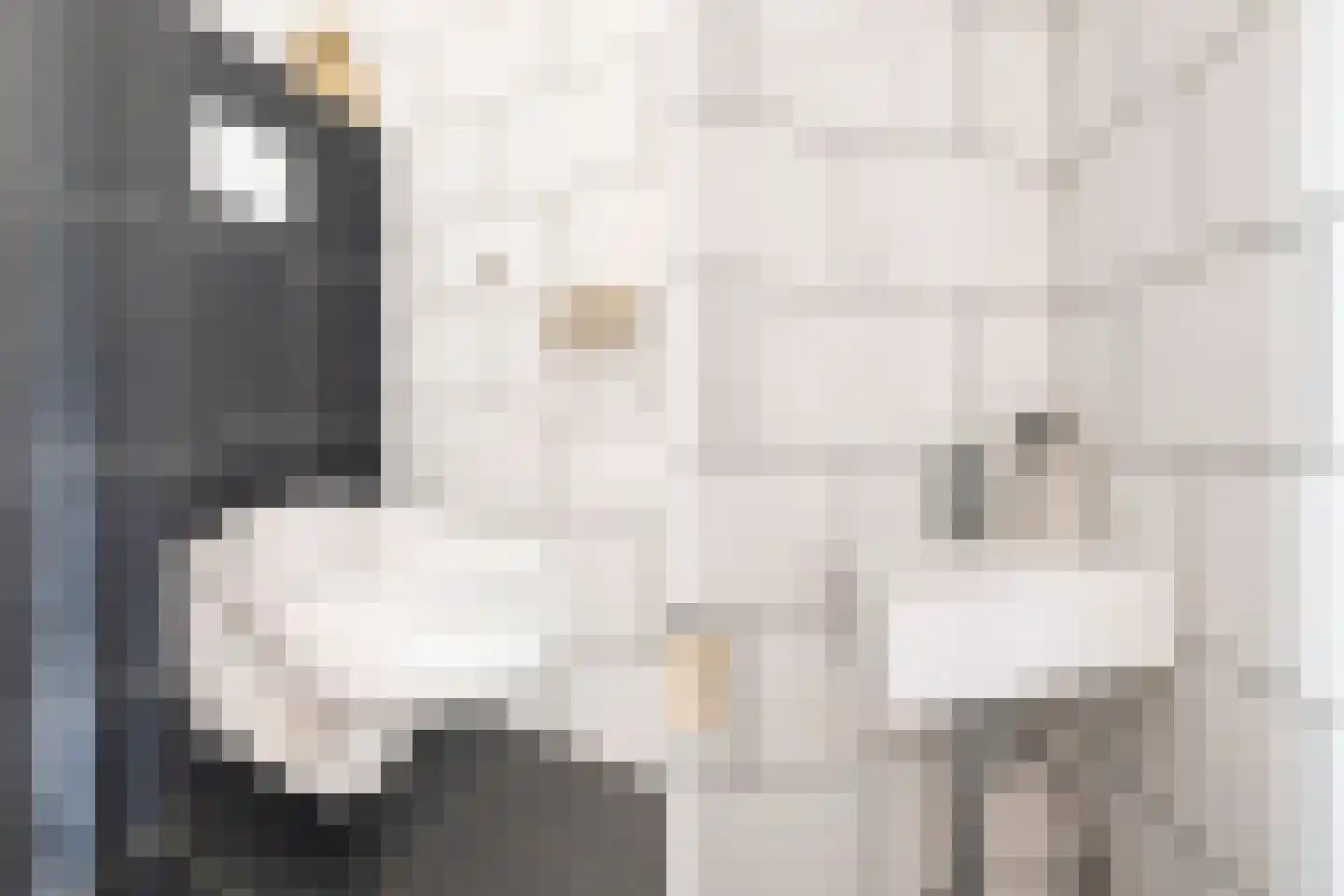 Crosestein 2064 Zeist thumbnail 13