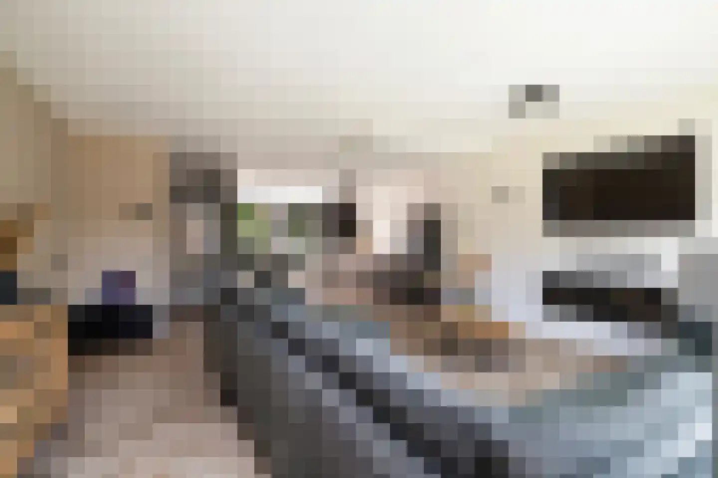 Crosestein 2064 Zeist thumbnail 16