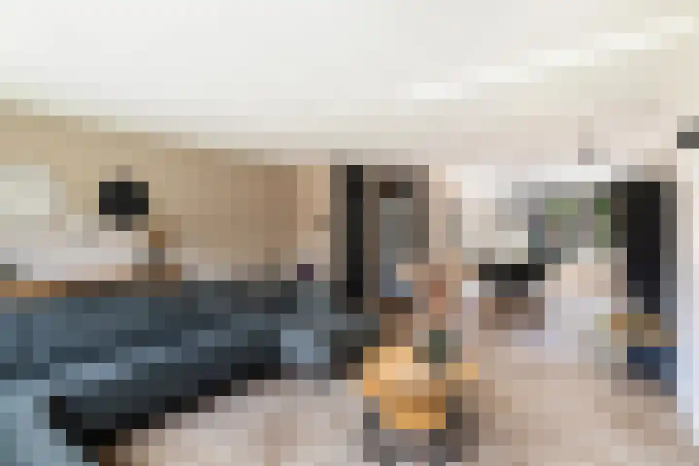 Crosestein 2064 Zeist thumbnail 17