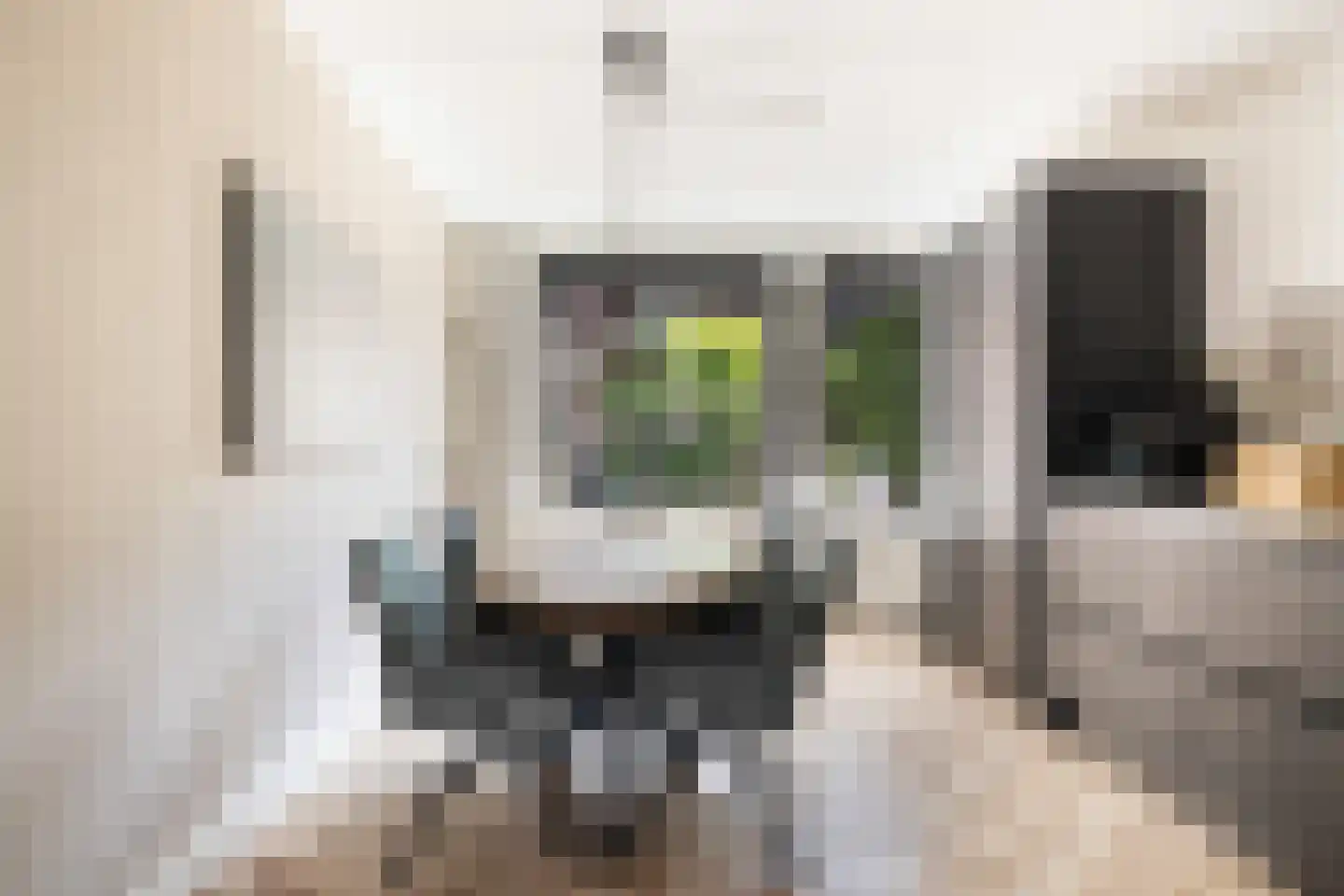Crosestein 2064 Zeist thumbnail 19