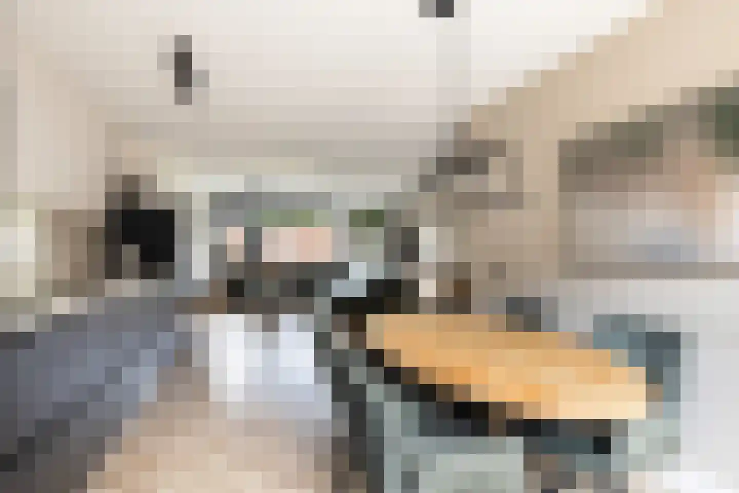 Crosestein 2064 Zeist thumbnail 20