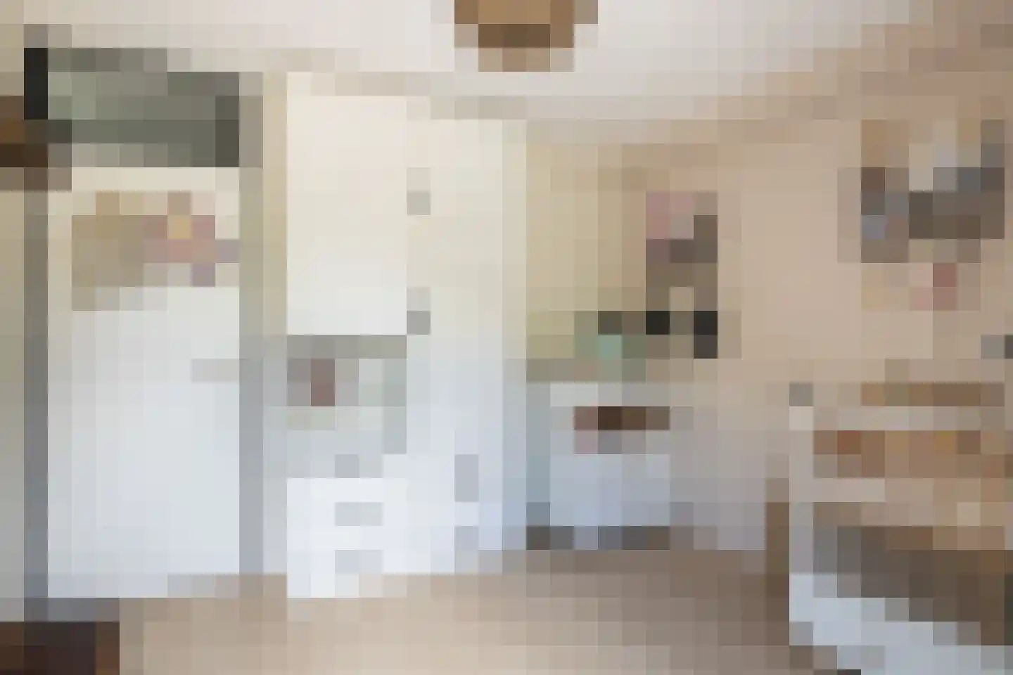 Crosestein 2064 Zeist thumbnail 28