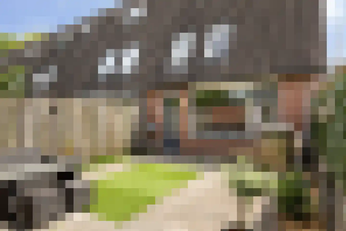 Crosestein 2064 Zeist thumbnail 33