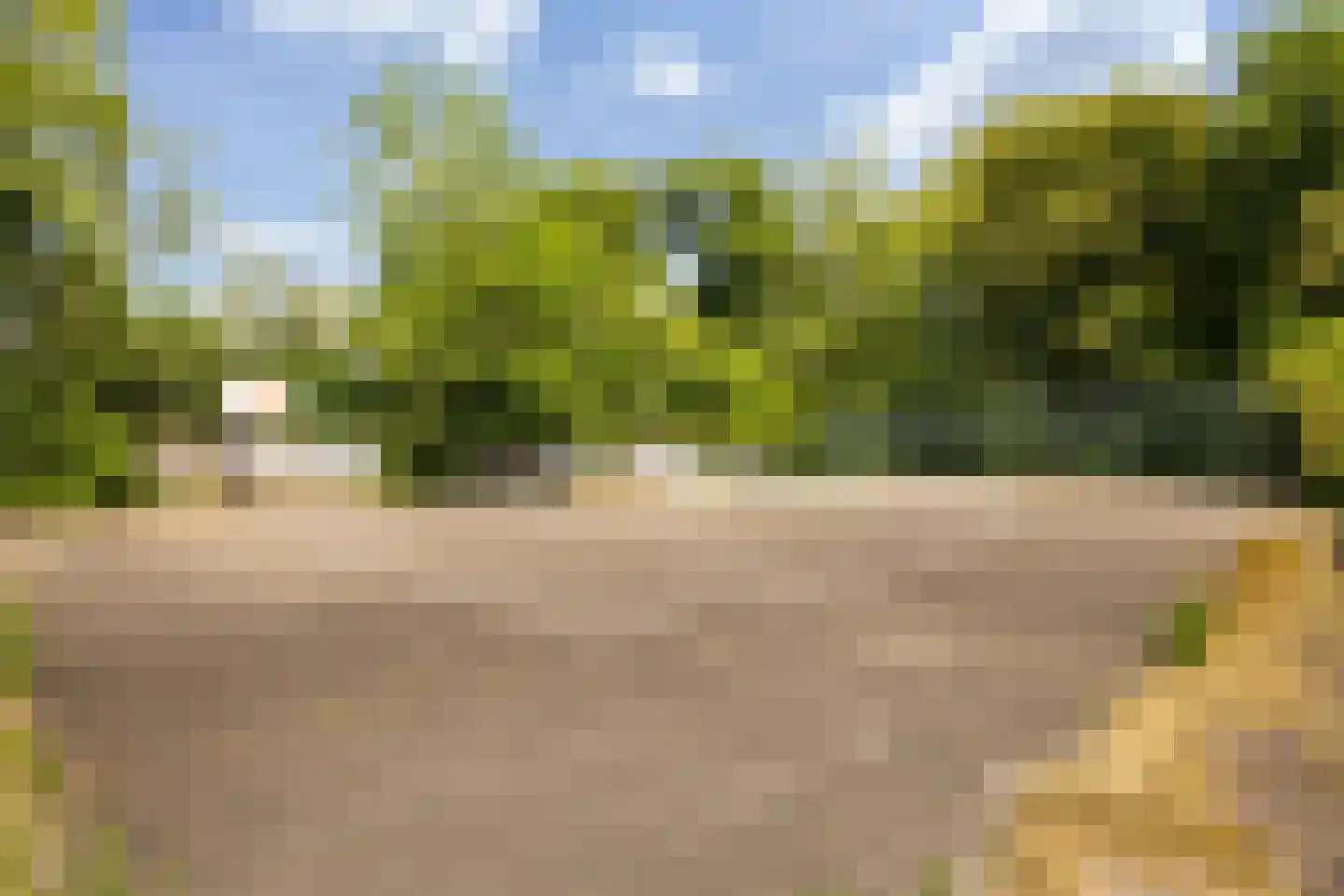Crosestein 2064 Zeist thumbnail 36