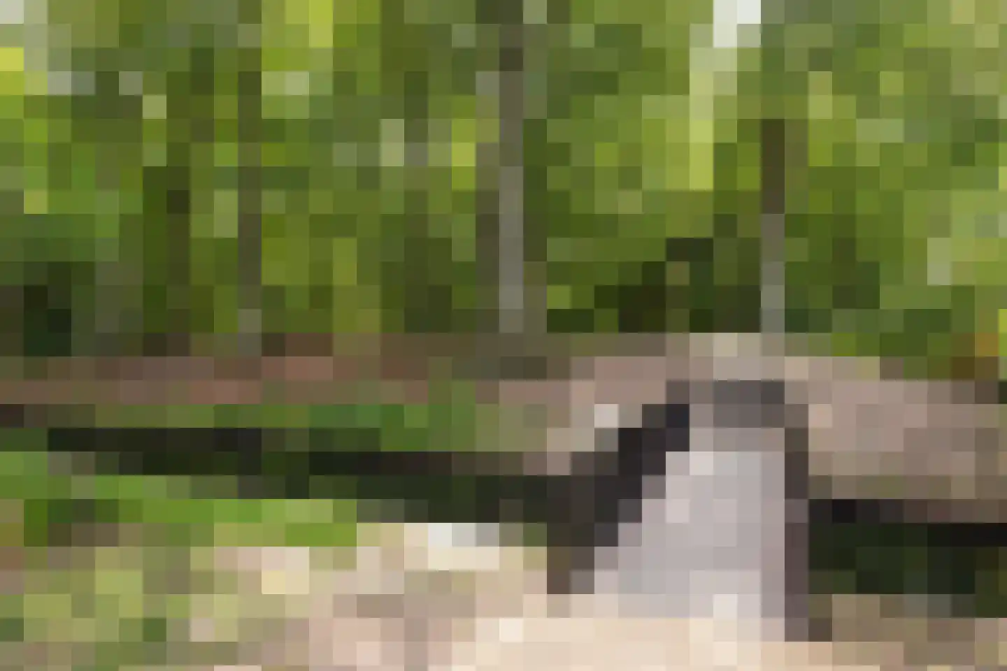 Crosestein 2064 Zeist thumbnail 37