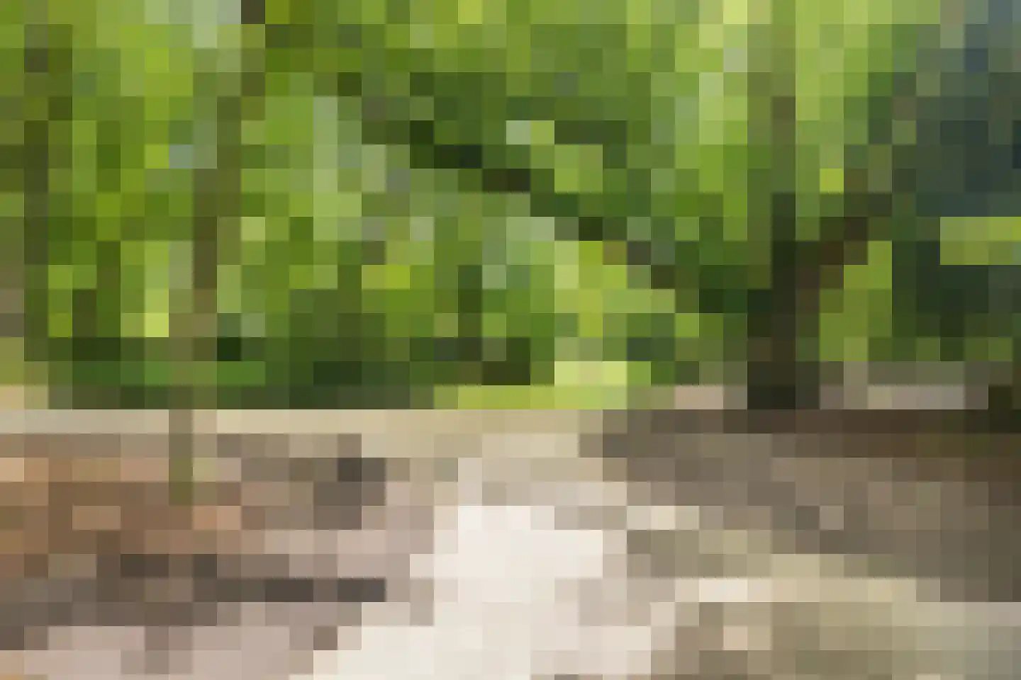Crosestein 2064 Zeist thumbnail 38