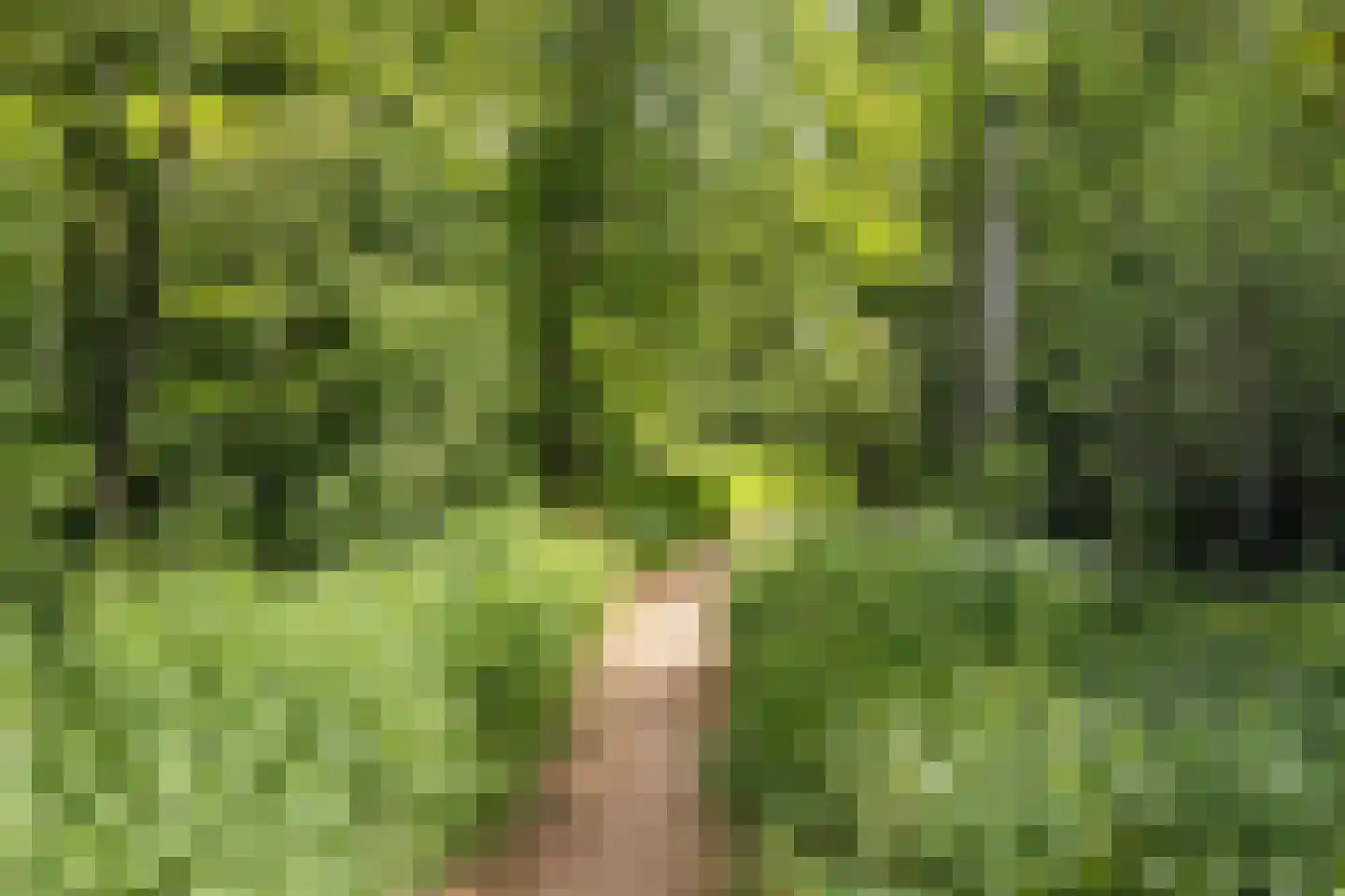 Crosestein 2064 Zeist thumbnail 39