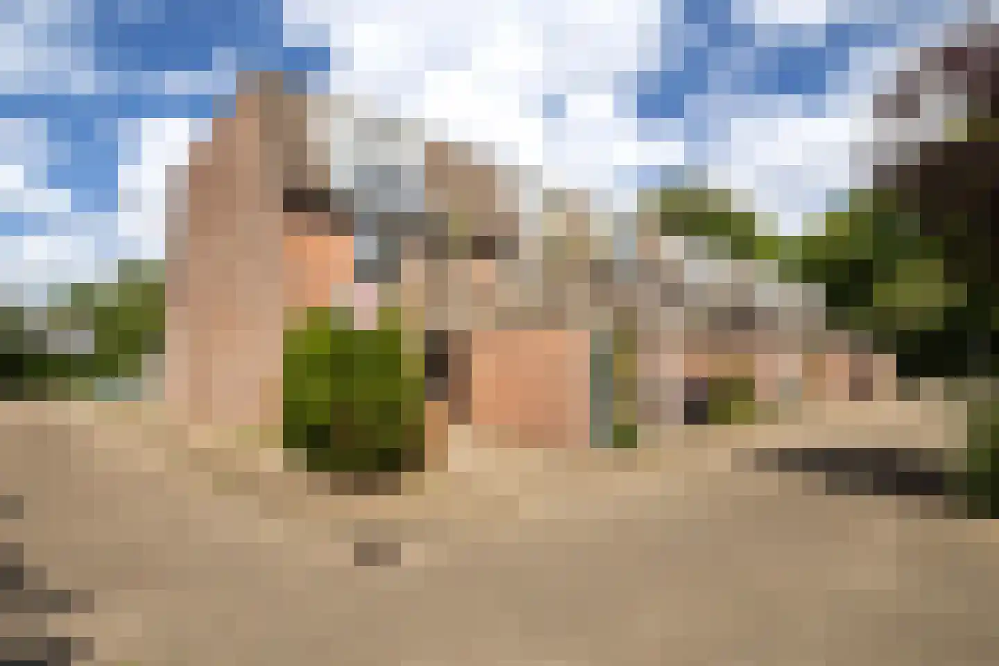 Crosestein 2064 Zeist thumbnail 9