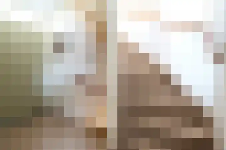 Crosestein 3103 Zeist thumbnail 16