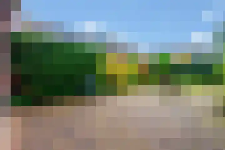 Crosestein 3103 Zeist thumbnail 20