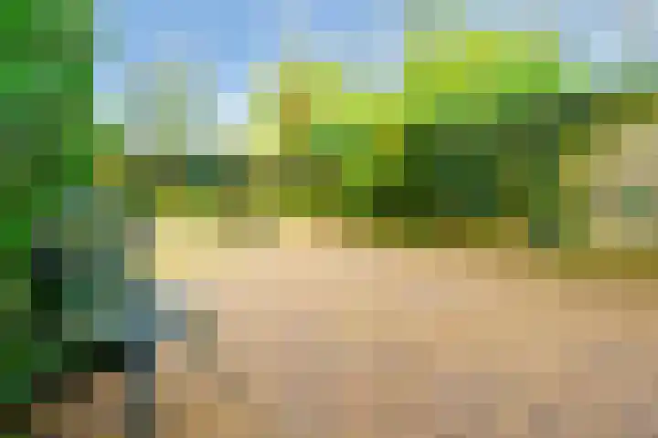 Crosestein 3103 Zeist thumbnail 21
