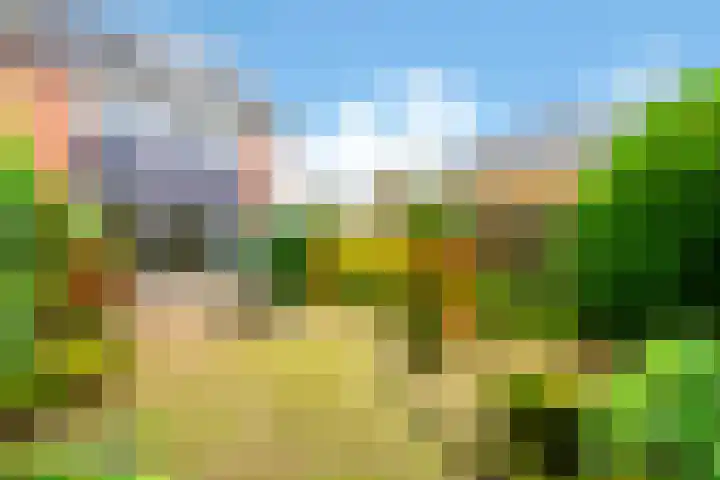 Crosestein 3103 Zeist thumbnail 22