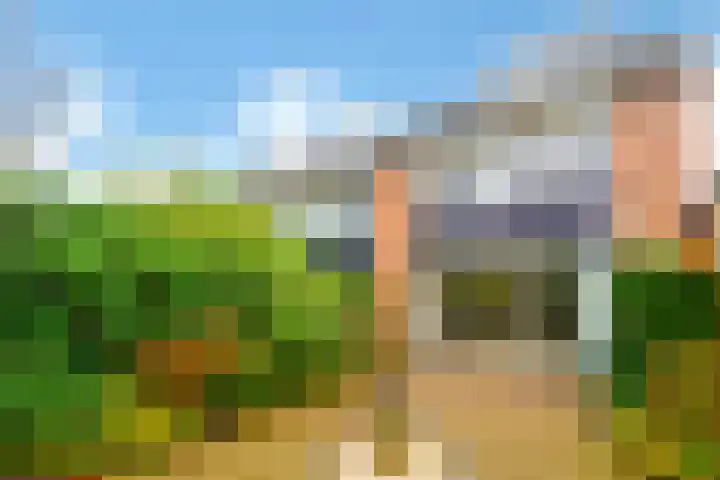Crosestein 3103 Zeist thumbnail 23