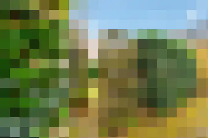 Crosestein 3103 Zeist thumbnail 24
