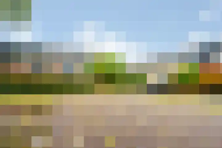 Crosestein 3103 Zeist thumbnail 25