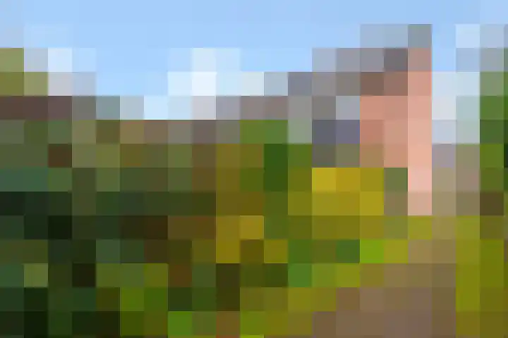 Crosestein 3103 Zeist thumbnail 26