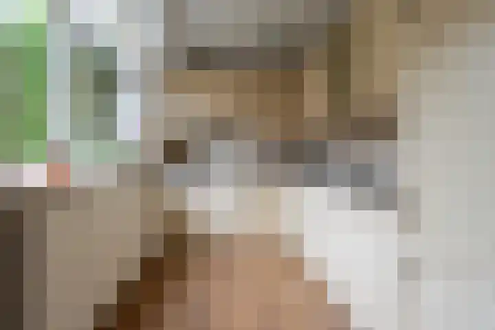 Crosestein 3103 Zeist thumbnail 8