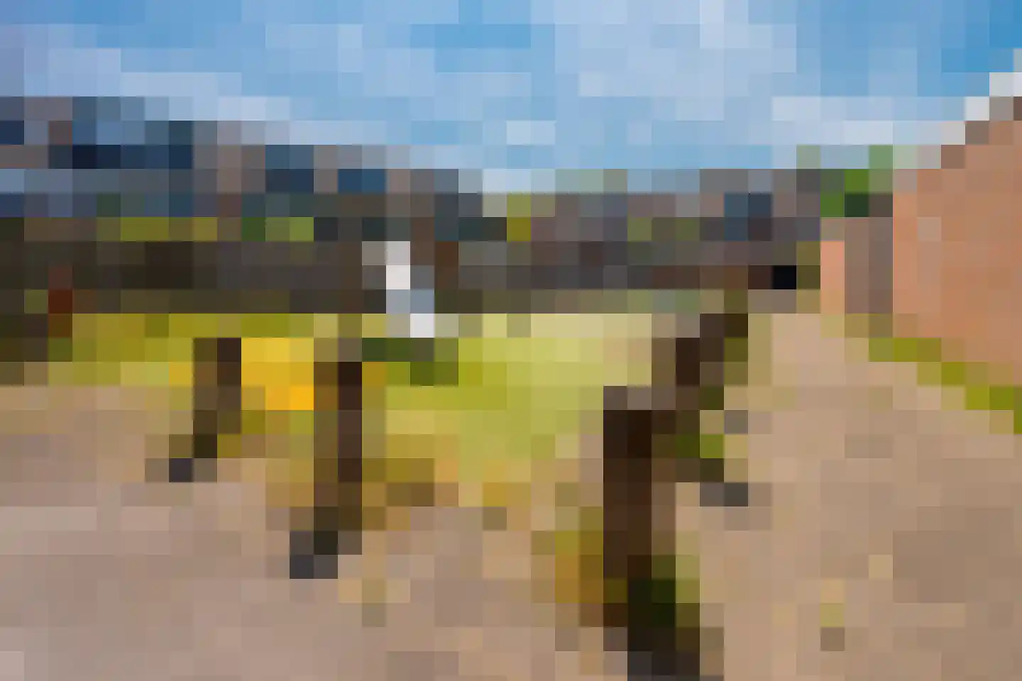 Crosestein 3104 Zeist thumbnail 37