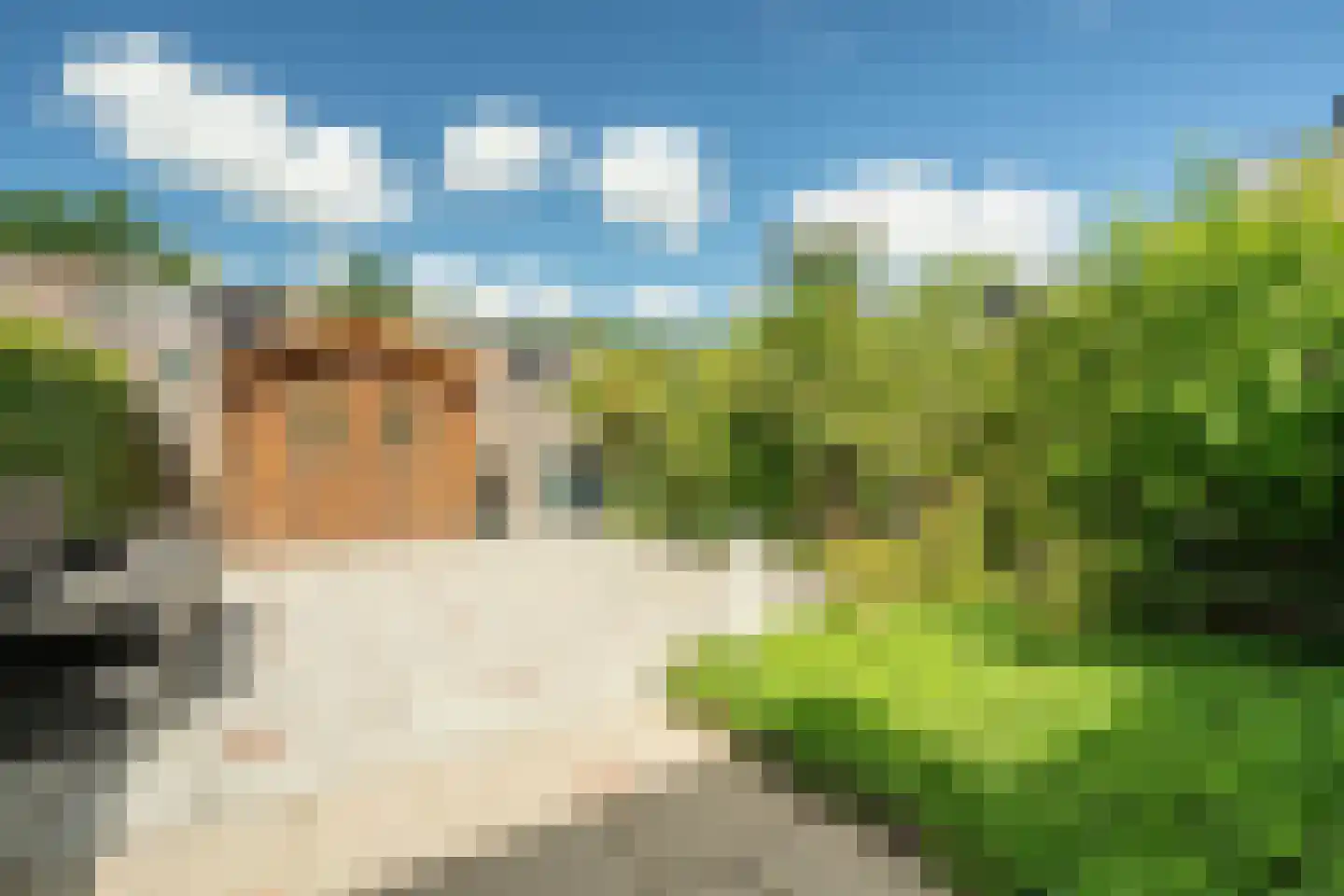 Crosestein 3114 Zeist thumbnail 23