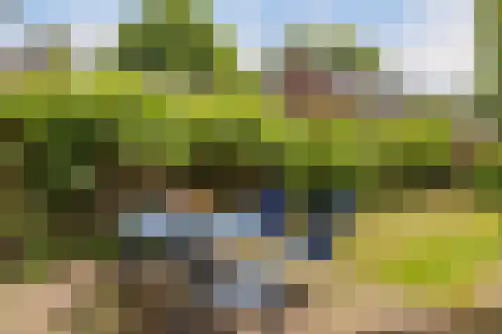 Crosestein 3326 Zeist thumbnail 15