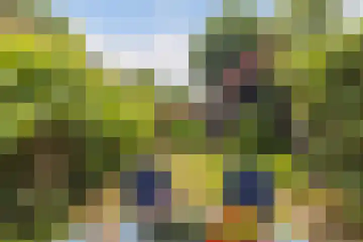 Crosestein 3326 Zeist thumbnail 16