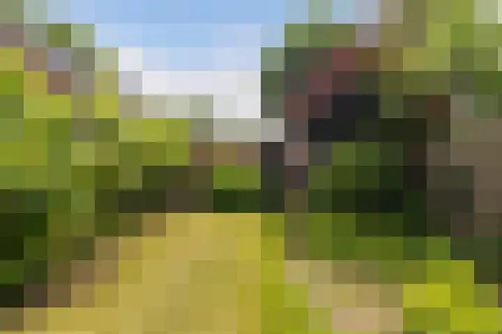 Crosestein 3326 Zeist thumbnail 17