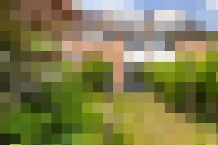 Crosestein 3326 Zeist thumbnail 18