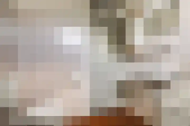 Crosestein 3326 Zeist thumbnail 29
