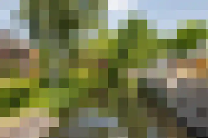 Crosestein 3326 Zeist thumbnail 33
