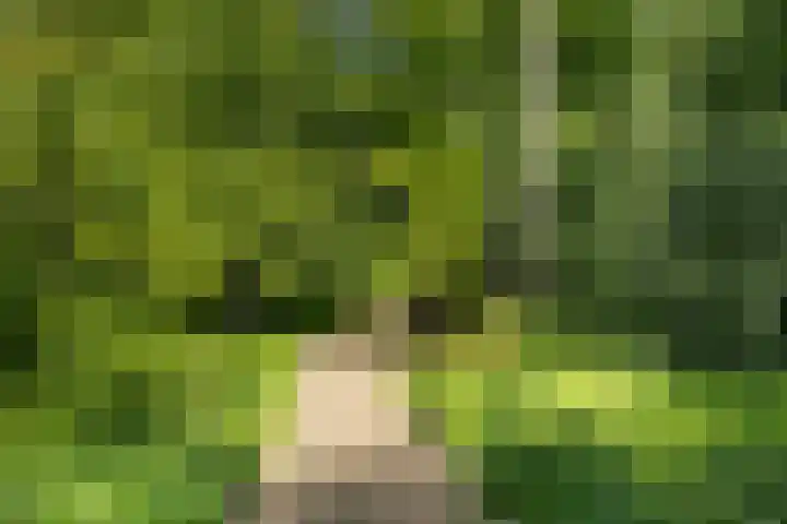 Crosestein 3326 Zeist thumbnail 35