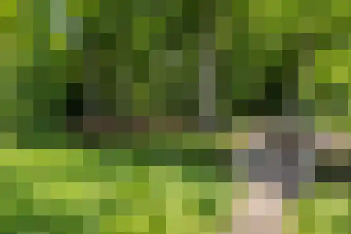 Crosestein 3326 Zeist thumbnail 37