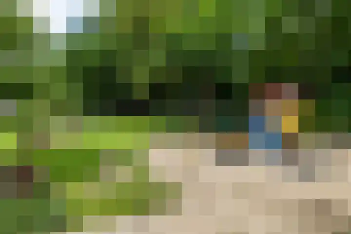 Crosestein 3326 Zeist thumbnail 38