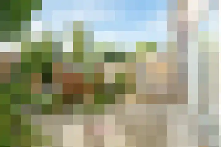 Crosestein 3519 Zeist thumbnail 17
