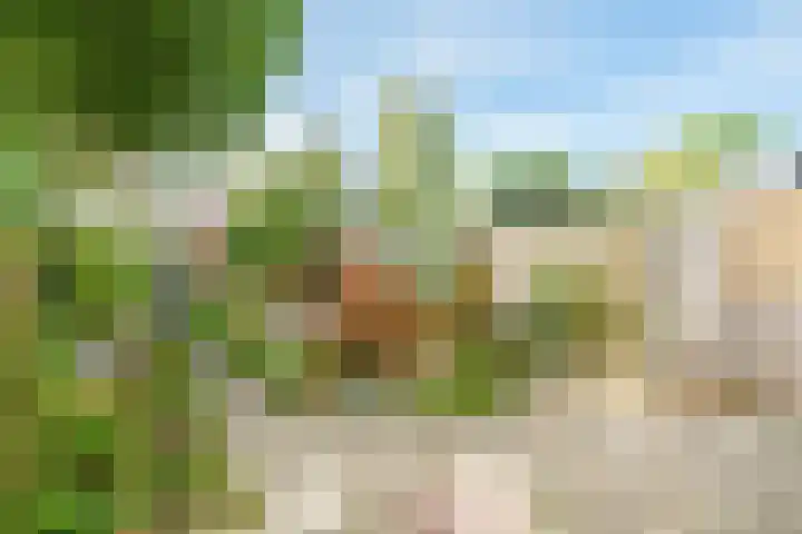 Crosestein 3519 Zeist thumbnail 18