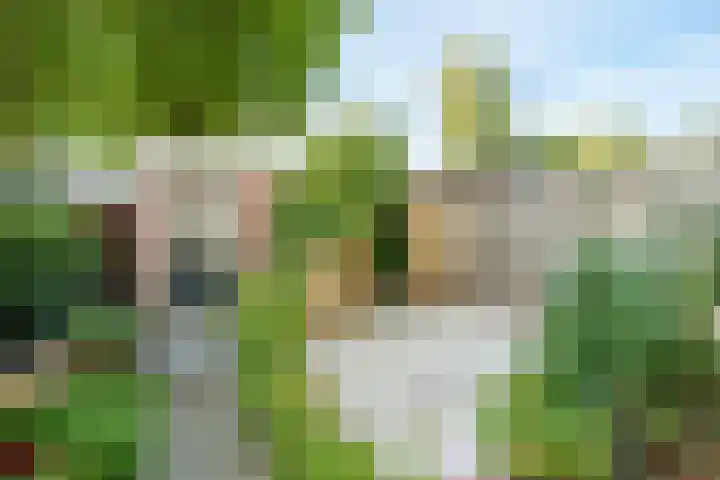 Crosestein 3519 Zeist thumbnail 19