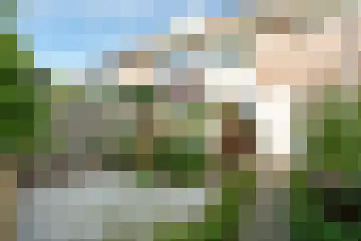 Crosestein 3519 Zeist thumbnail 20