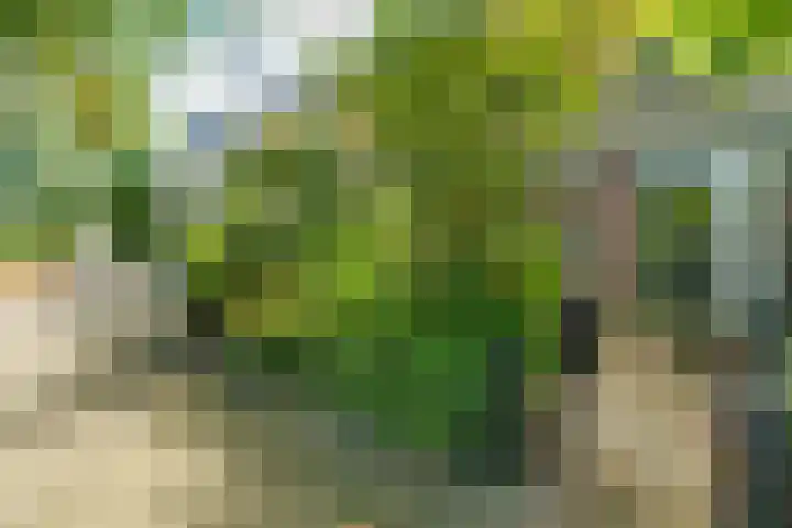 Crosestein 3519 Zeist thumbnail 21
